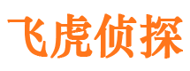 龙湾市调查公司